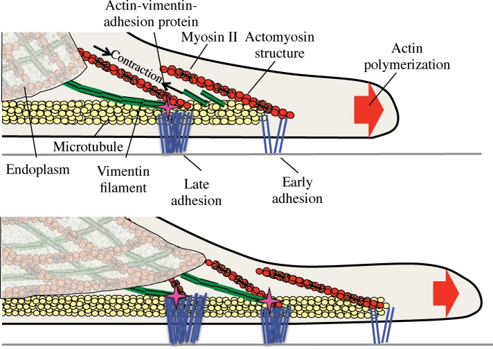 FIGURE 7: