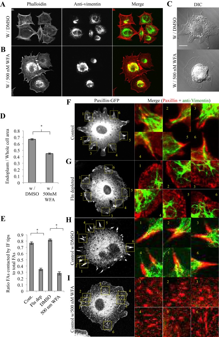 FIGURE 4: