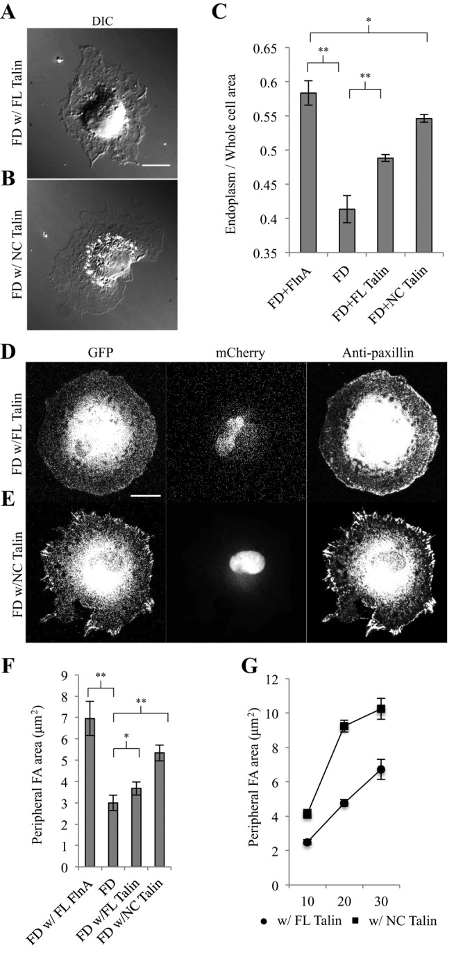 FIGURE 2: