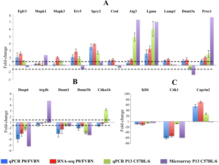 Comparative transcriptome analysis of epithelial and fiber cells in ...