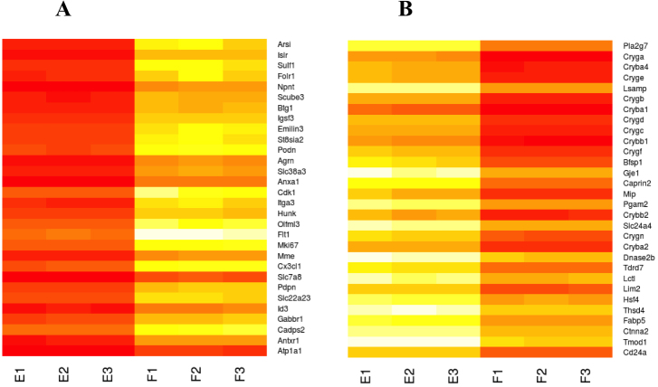 Comparative transcriptome analysis of epithelial and fiber cells in ...