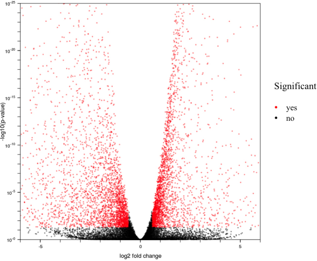 Comparative transcriptome analysis of epithelial and fiber cells in ...