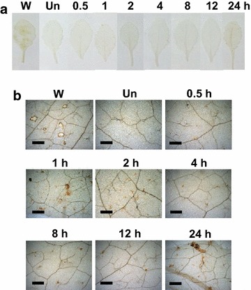 Fig. 3