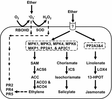 Fig. 9