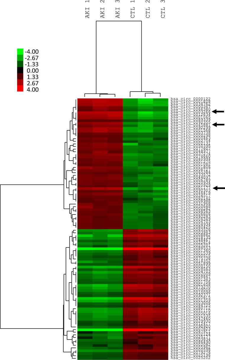 Figure 1