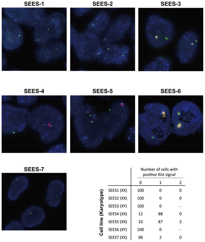 Supplemental Fig. 6