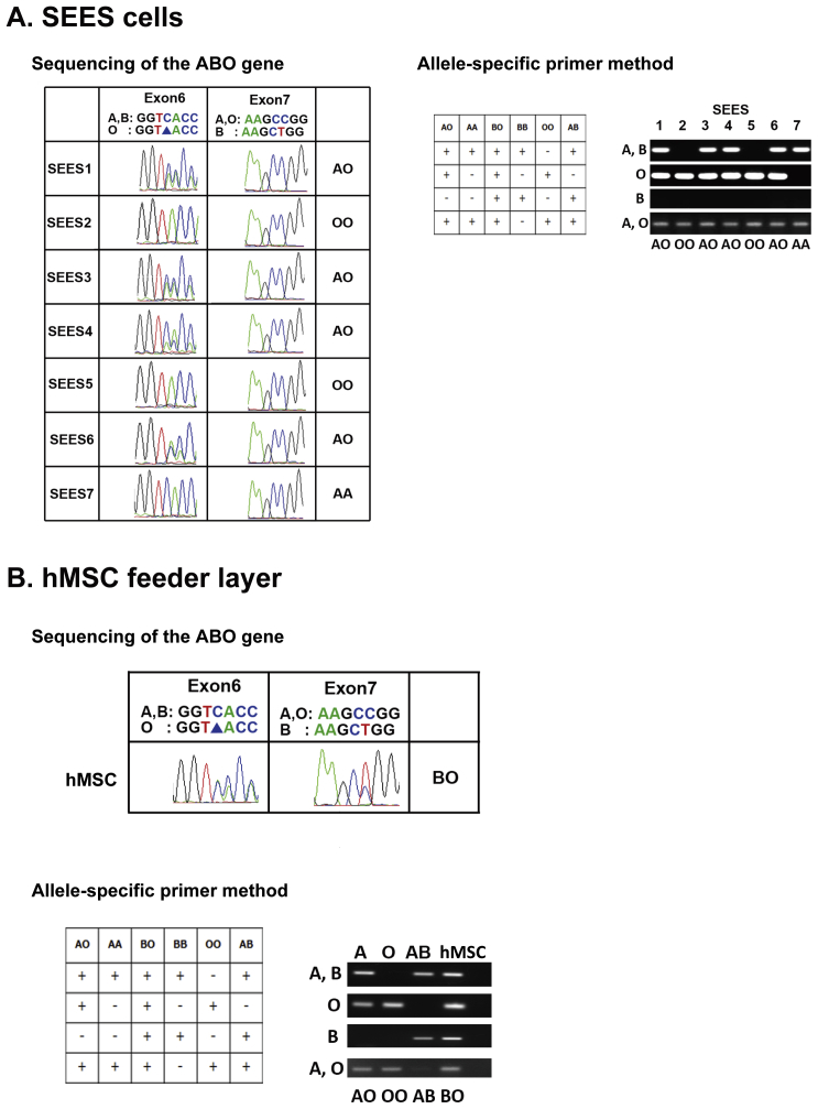 Supplemental Fig. 5