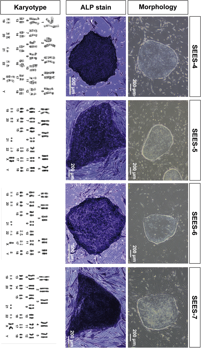 Fig. 3