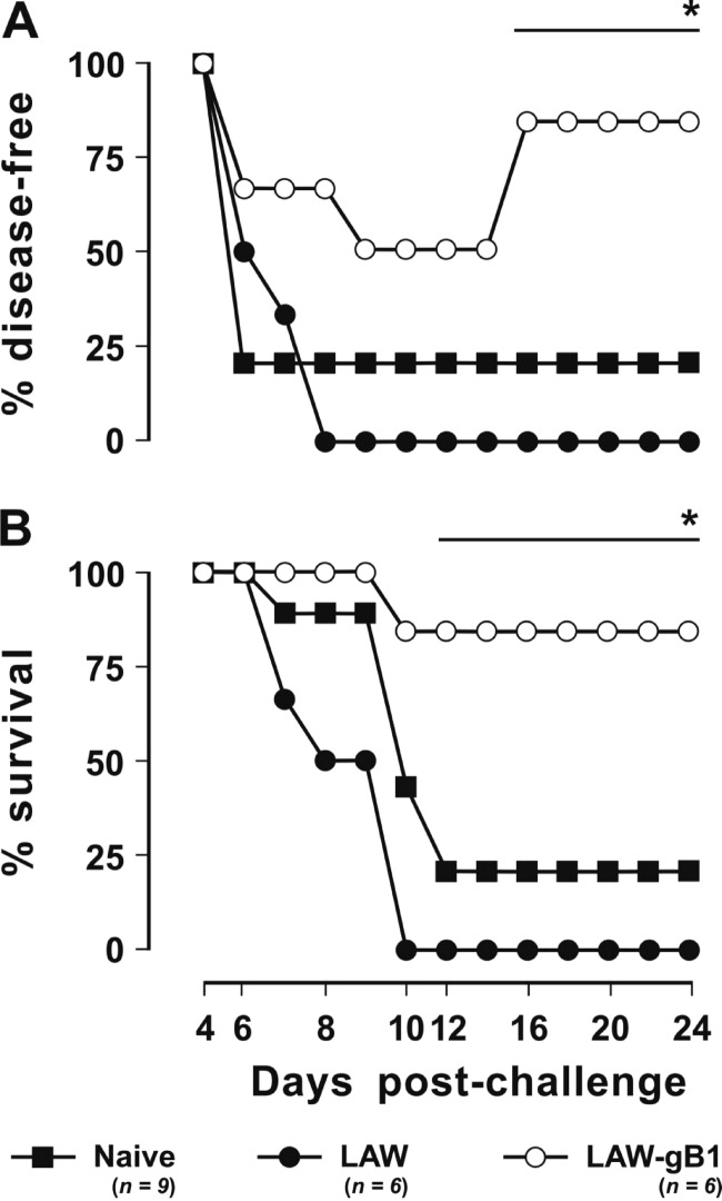 Fig 5