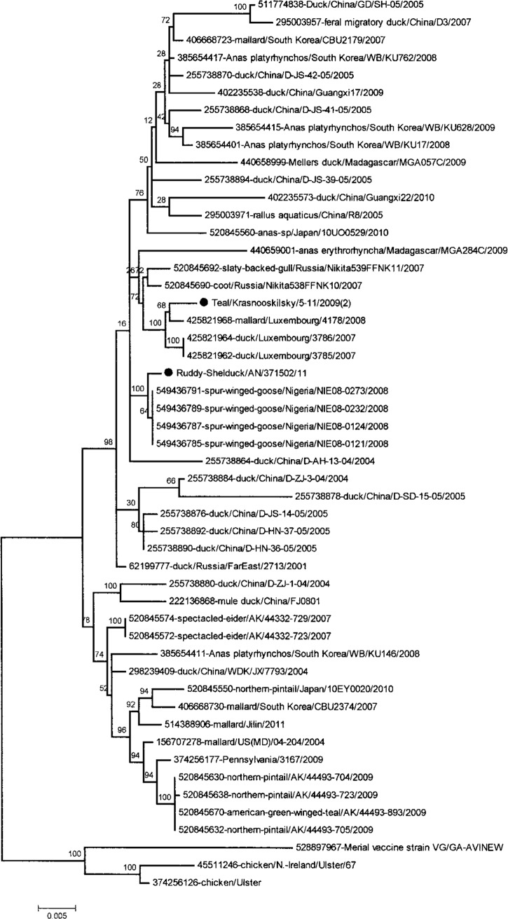 FIG 3