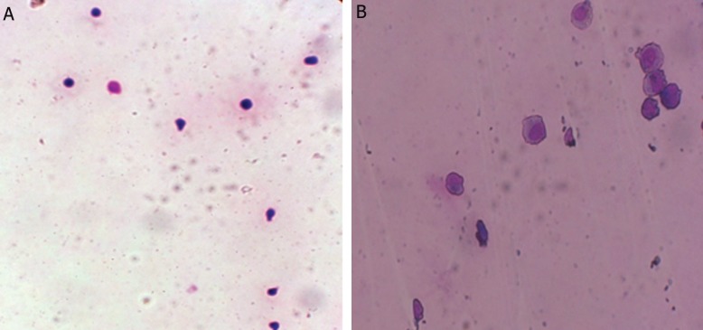 Fig.1