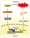 Figure 11.