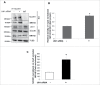 Figure 9.