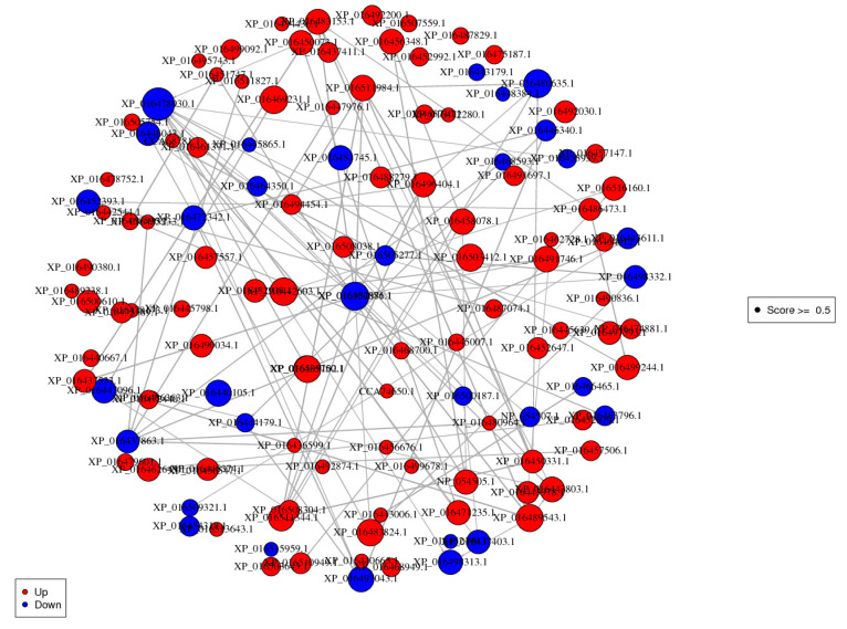 Figure 10