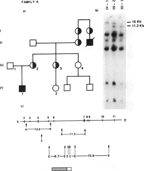 graphic file with name pnas00276-0244-a.jpg