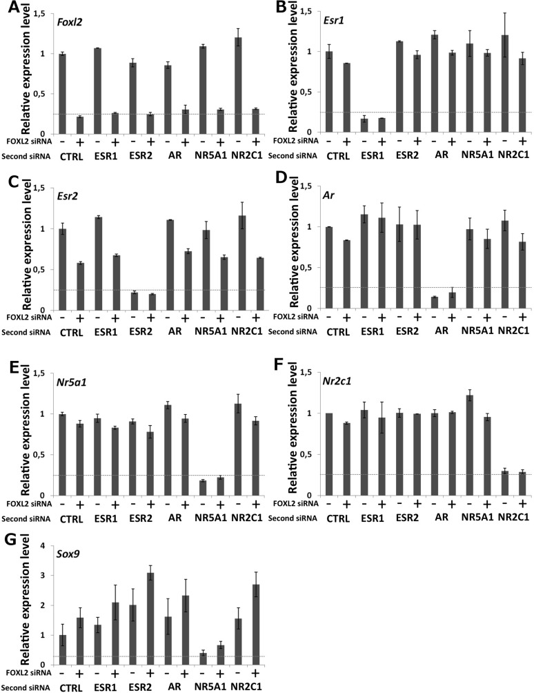 Figure 1—figure supplement 2.