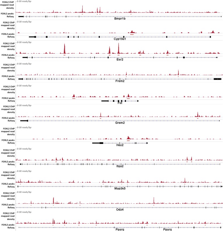 Figure 2—figure supplement 2.