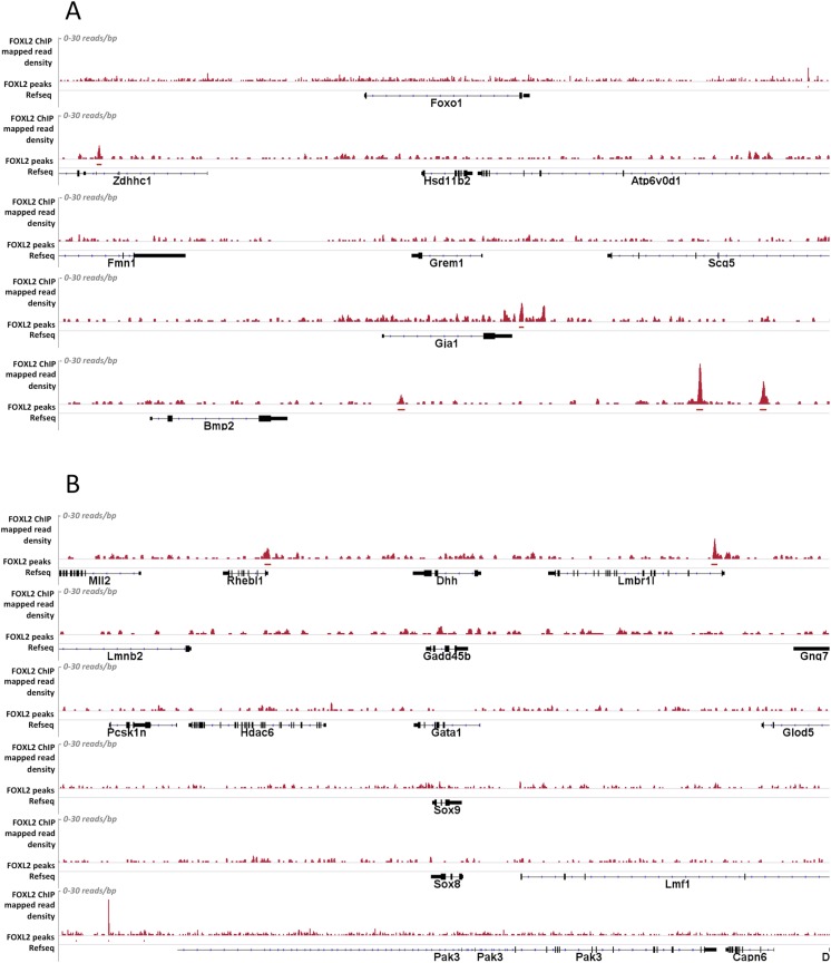 Figure 2—figure supplement 3.