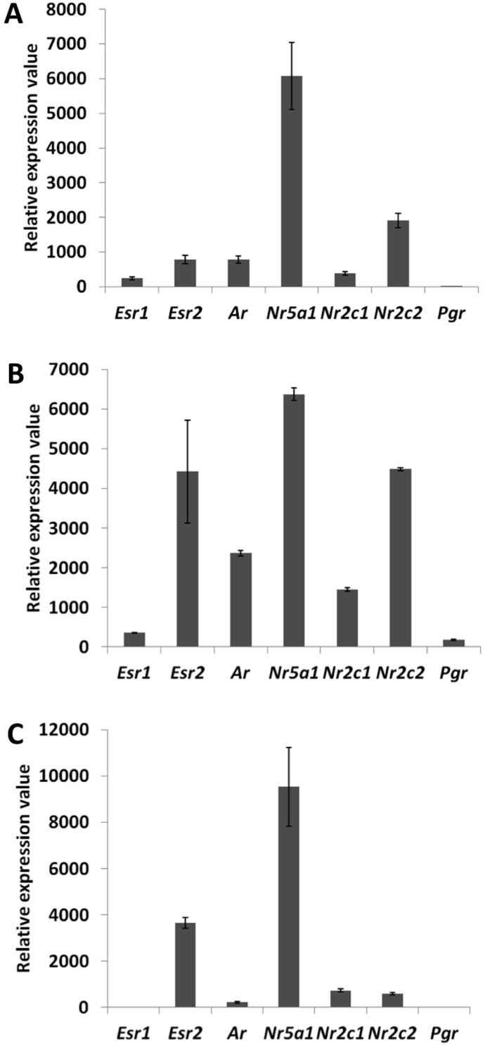 Figure 1—figure supplement 1.