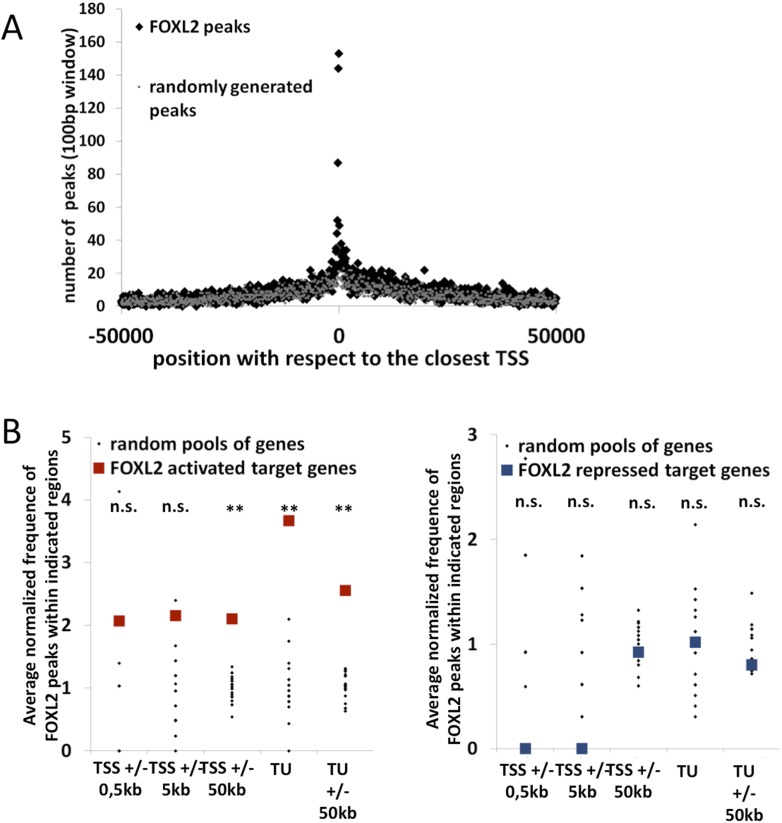 Figure 2—figure supplement 1.