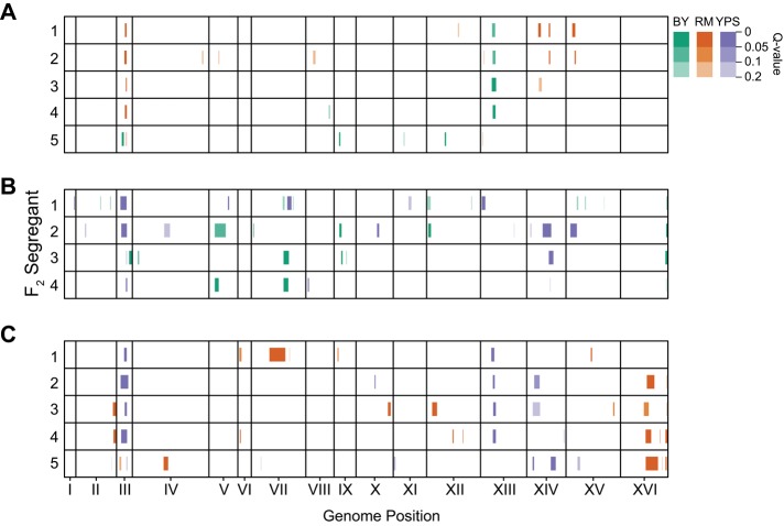 FIGURE 2: