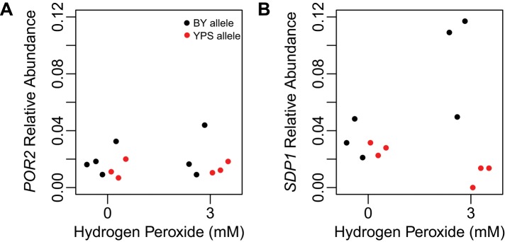 FIGURE 5: