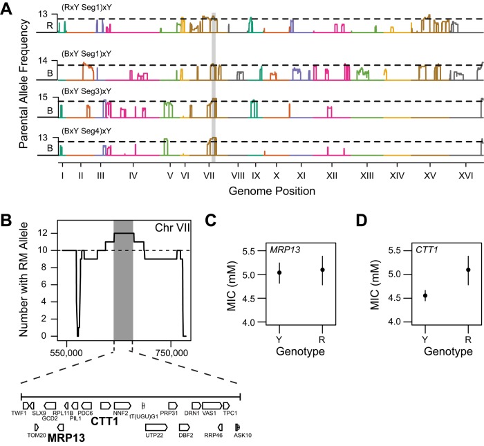 FIGURE 6: