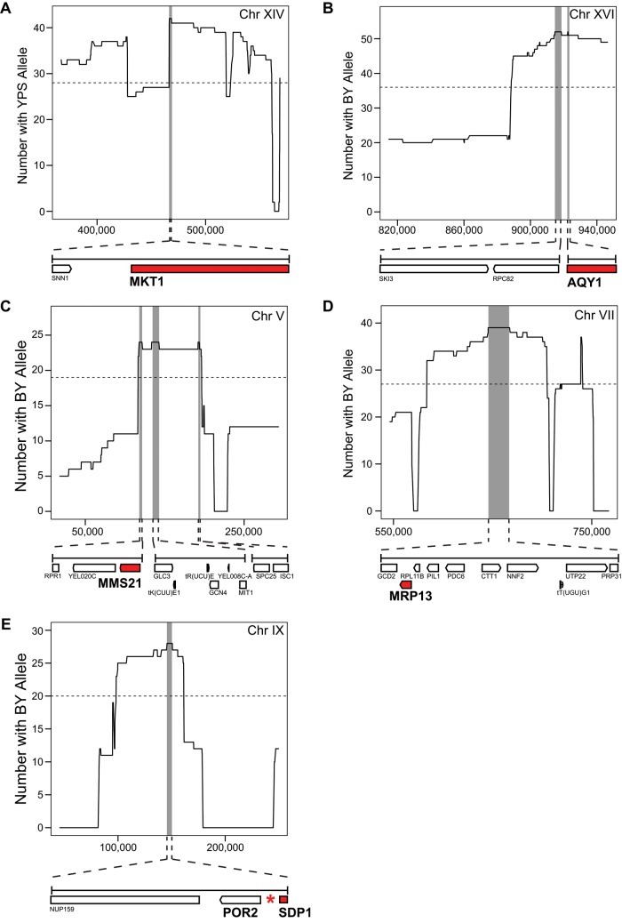 FIGURE 4: