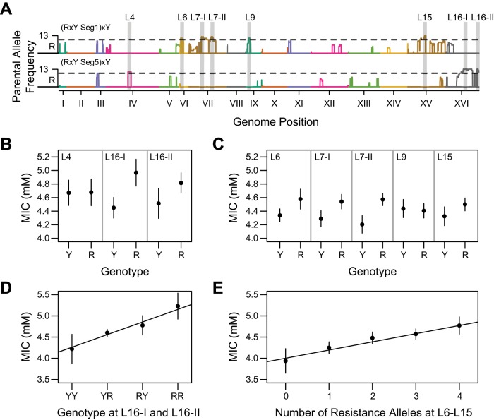 FIGURE 3: