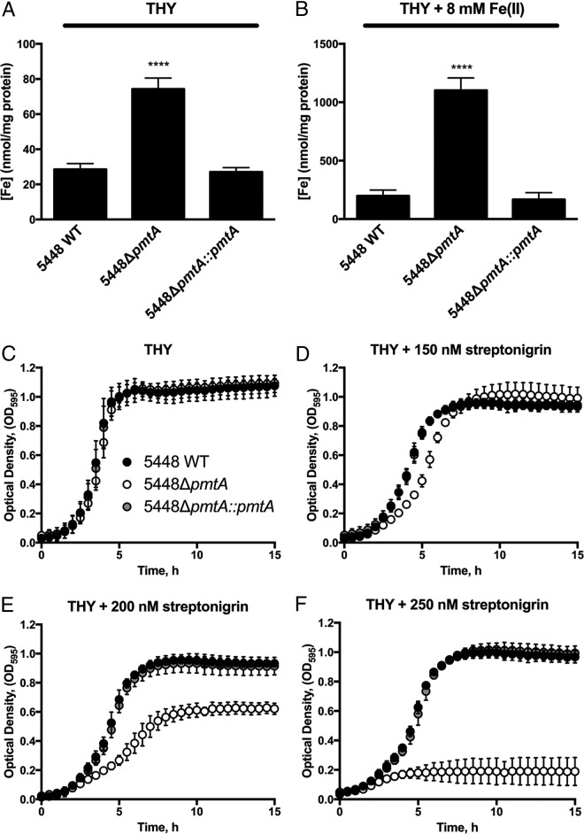 FIG 3