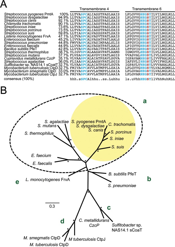 FIG 1