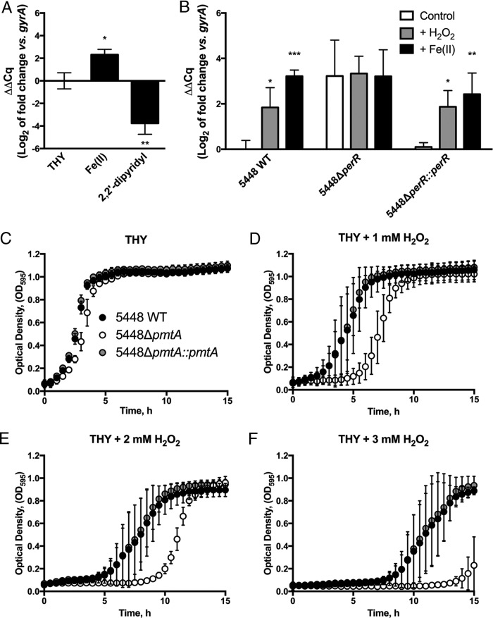 FIG 4