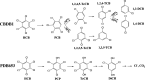 FIG 1