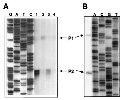 FIG. 4