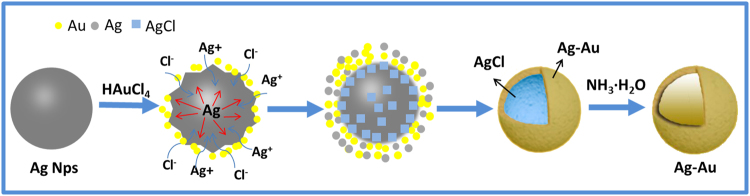 Figure 7