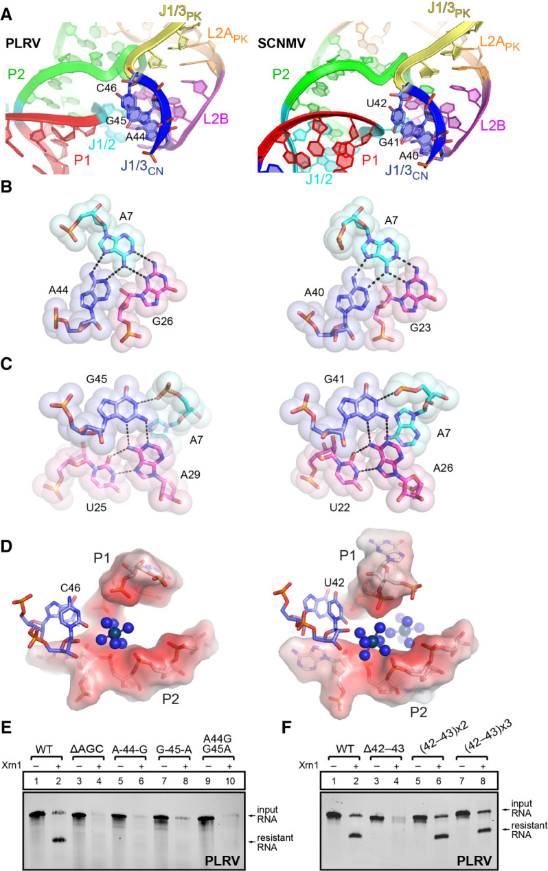 FIGURE 4.