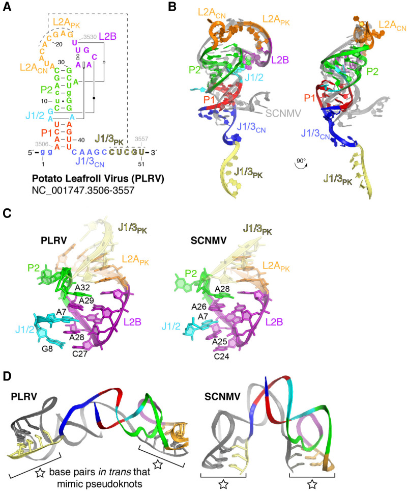 FIGURE 2.