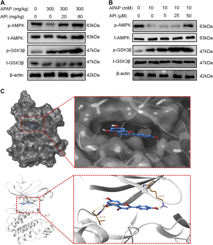 FIGURE 6