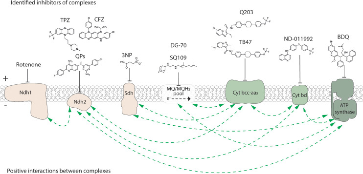 Figure 1