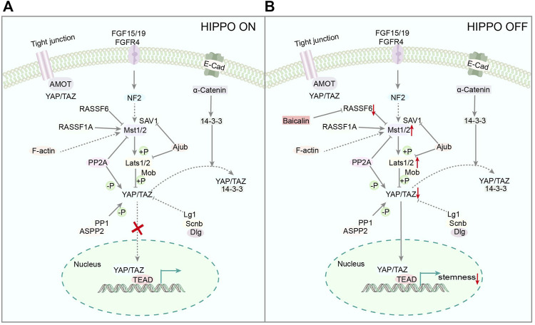 FIGURE 3