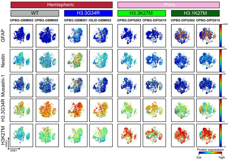 Figure 3