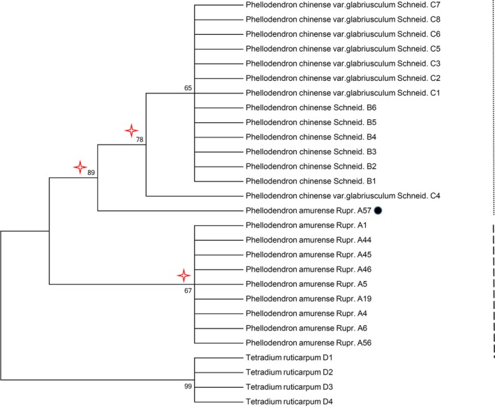 Figure 5