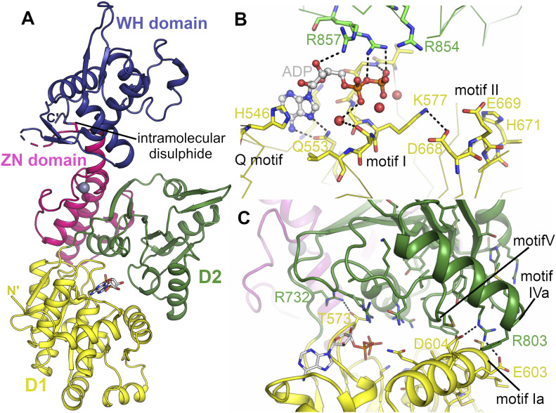 Figure 2.