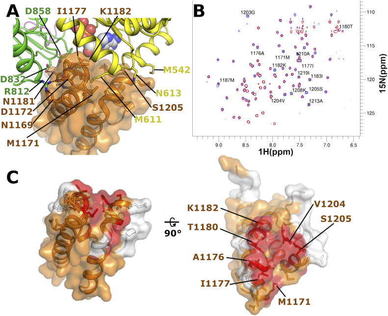 Figure 4.