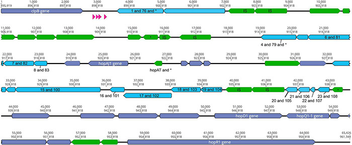 FIGURE 2