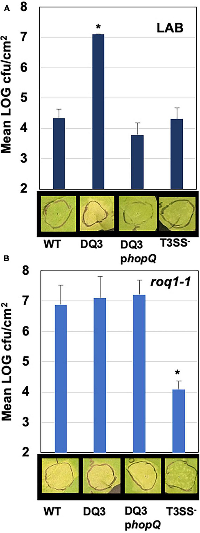 FIGURE 4