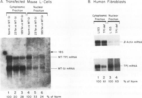 graphic file with name molcellb00015-0593-a.jpg