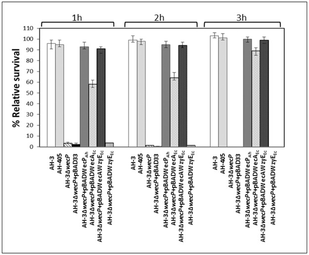 Fig 5