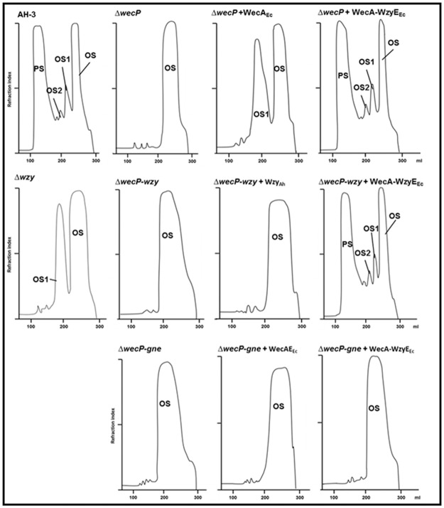 Fig 3