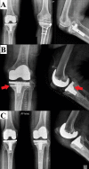 Fig. 5